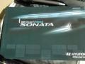 Willow Gray - Sonata Limited Photo No. 18