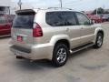 Savannah Beige Metallic - GX 470 Photo No. 5