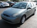 Light Tundra Metallic 2003 Ford Focus SE Wagon Exterior