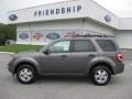 2012 Sterling Gray Metallic Ford Escape XLT V6 4WD  photo #1