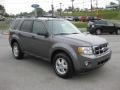 2012 Sterling Gray Metallic Ford Escape XLT V6 4WD  photo #4