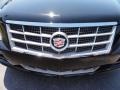 Black Raven - STS 4 V6 AWD Photo No. 30