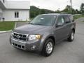 Sterling Gray Metallic 2012 Ford Escape Limited V6 4WD Exterior