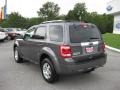 Sterling Gray Metallic - Escape Limited V6 4WD Photo No. 8