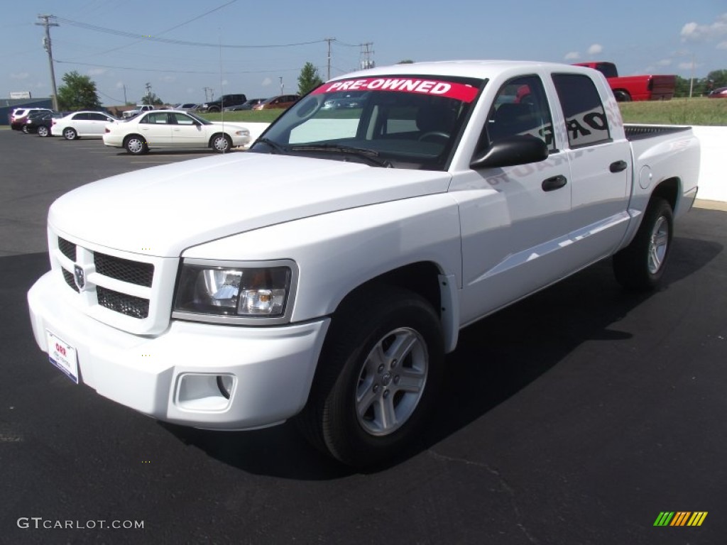 2010 Dakota Big Horn Crew Cab - Stone White / Dark Slate Gray/Medium Slate Gray photo #3