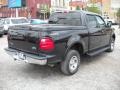 2002 Black Ford F150 XLT SuperCrew 4x4  photo #2