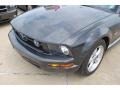 2007 Alloy Metallic Ford Mustang V6 Premium Coupe  photo #9