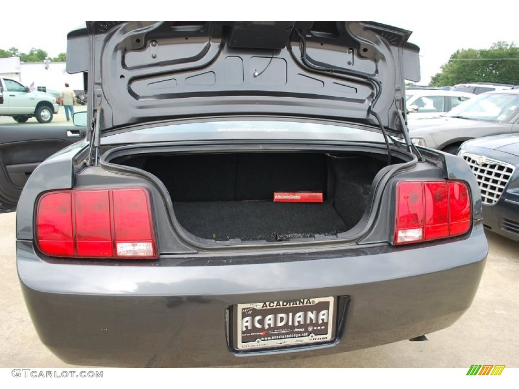 2007 Mustang V6 Premium Coupe - Alloy Metallic / Light Graphite photo #20