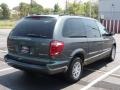 2002 Onyx Green Pearl Dodge Grand Caravan SE  photo #5