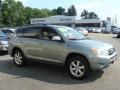 Everglade Metallic - RAV4 Limited 4WD Photo No. 1