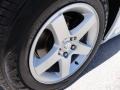 Stone White - Charger SXT Photo No. 20