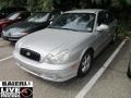 Bright Silver - Sonata GLS V6 Photo No. 3