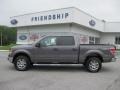 Sterling Grey Metallic - F150 XLT SuperCrew 4x4 Photo No. 1