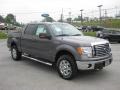 Sterling Grey Metallic - F150 XLT SuperCrew 4x4 Photo No. 4