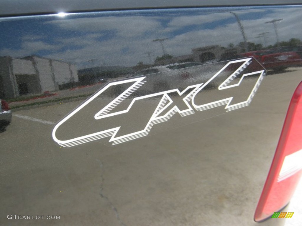 2006 F150 XLT SuperCrew 4x4 - Black / Medium/Dark Flint photo #27