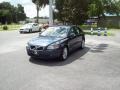 Barents Blue Metallic - S40 T5 Photo No. 2