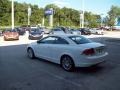 White Pearlescent - C70 T5 Photo No. 4