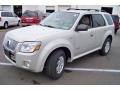 Light Sage 2008 Mercury Mariner V6 4WD