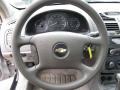 2006 Silverstone Metallic Chevrolet Malibu LT Sedan  photo #10