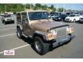 1999 Desert Sand Pearlcoat Jeep Wrangler Sport 4x4 #51855982