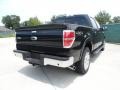 Ebony Black - F150 Lariat SuperCrew 4x4 Photo No. 3