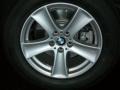 2008 Titanium Silver Metallic BMW X5 4.8i  photo #5