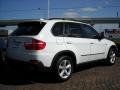 Alpine White - X5 3.0si Photo No. 3