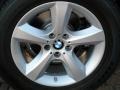 Alpine White - X5 3.0si Photo No. 5