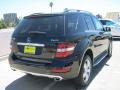 Black - ML 350 4Matic Photo No. 4