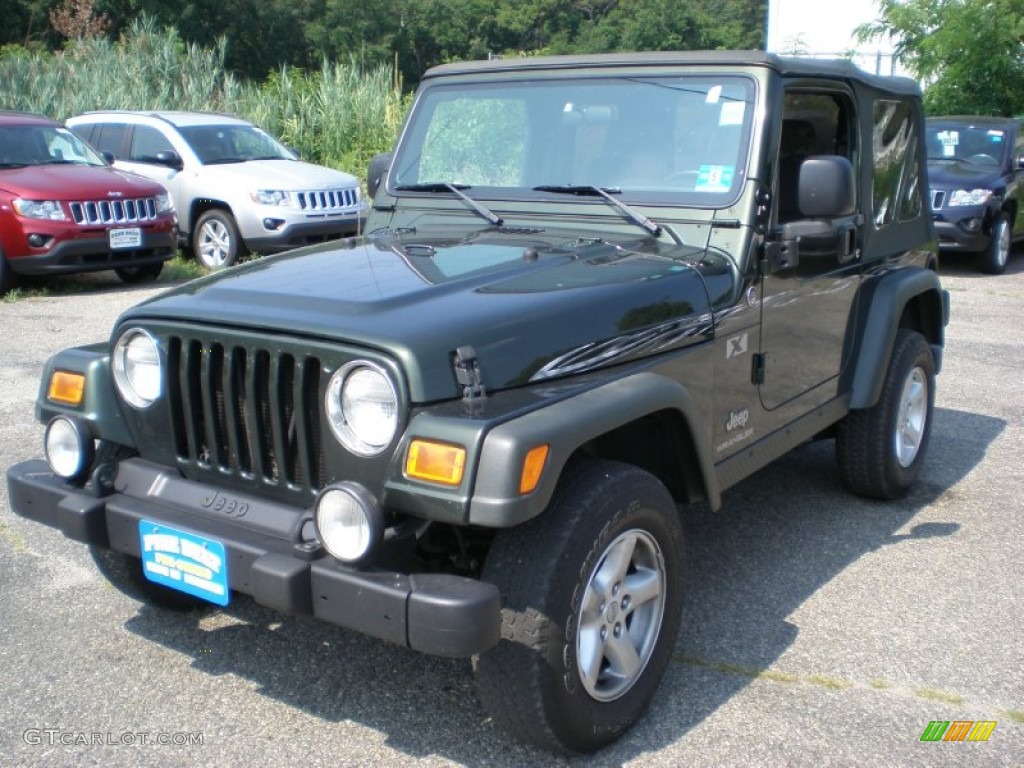 2005 Wrangler X 4x4 - Deep Beryl Green Pearl / Dark Slate Gray photo #1