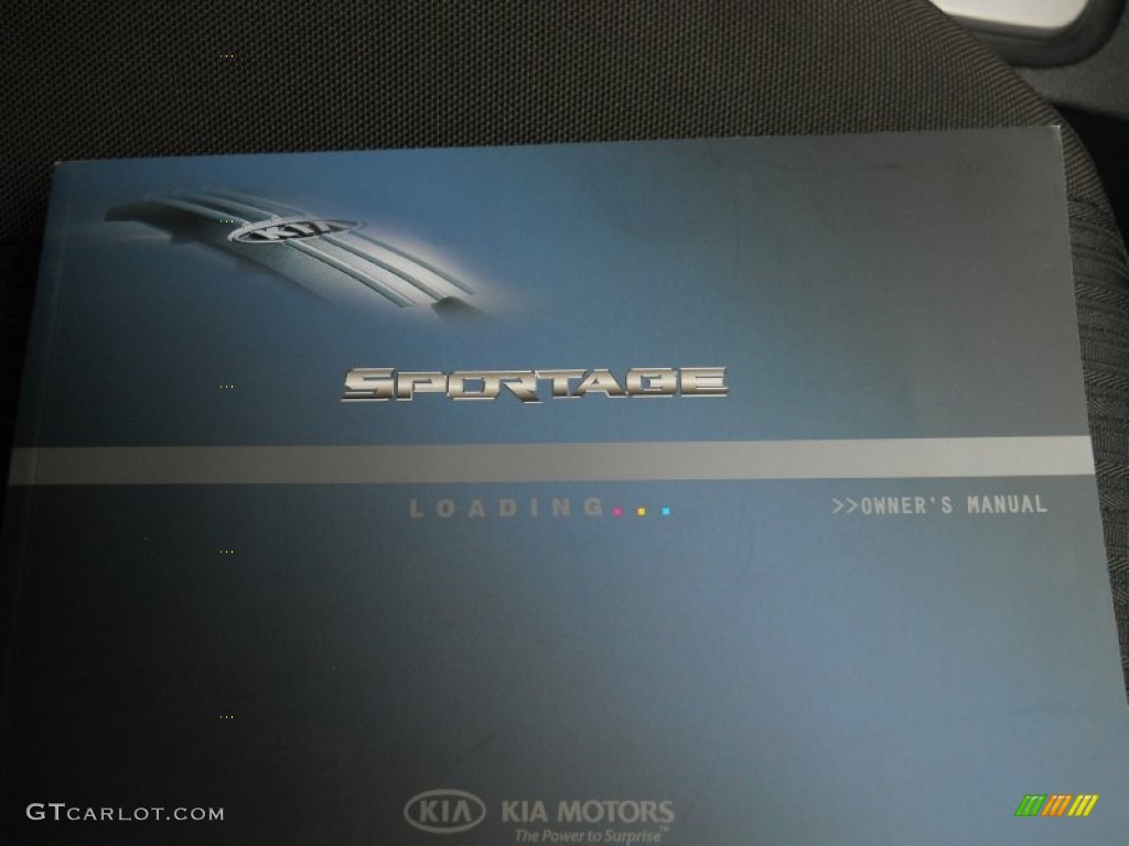 2010 Sportage LX V6 4x4 - Steel Silver / Black photo #17