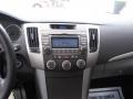 Radiant Silver - Sonata GLS Photo No. 10