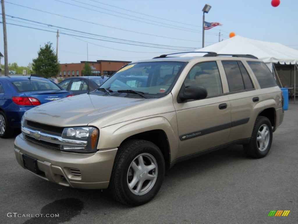 2004 TrailBlazer LS 4x4 - Sandstone Metallic / Light Cashmere photo #1