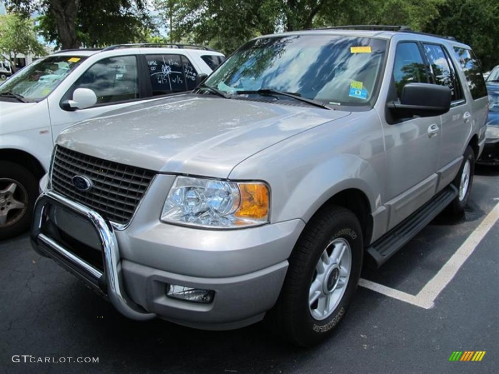 2003 Expedition XLT 4x4 - Silver Birch Metallic / Medium Parchment photo #4