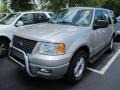 2003 Silver Birch Metallic Ford Expedition XLT 4x4  photo #4