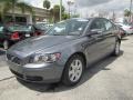 Titanium Gray Metallic - S40 2.4i Photo No. 1