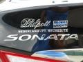 Midnight Black - Sonata SE Photo No. 21