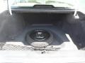 Neutral Shale Trunk Photo for 1999 Cadillac DeVille #51912359