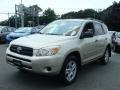 Savannah Metallic - RAV4 4WD Photo No. 3