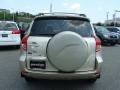 Savannah Metallic - RAV4 4WD Photo No. 5