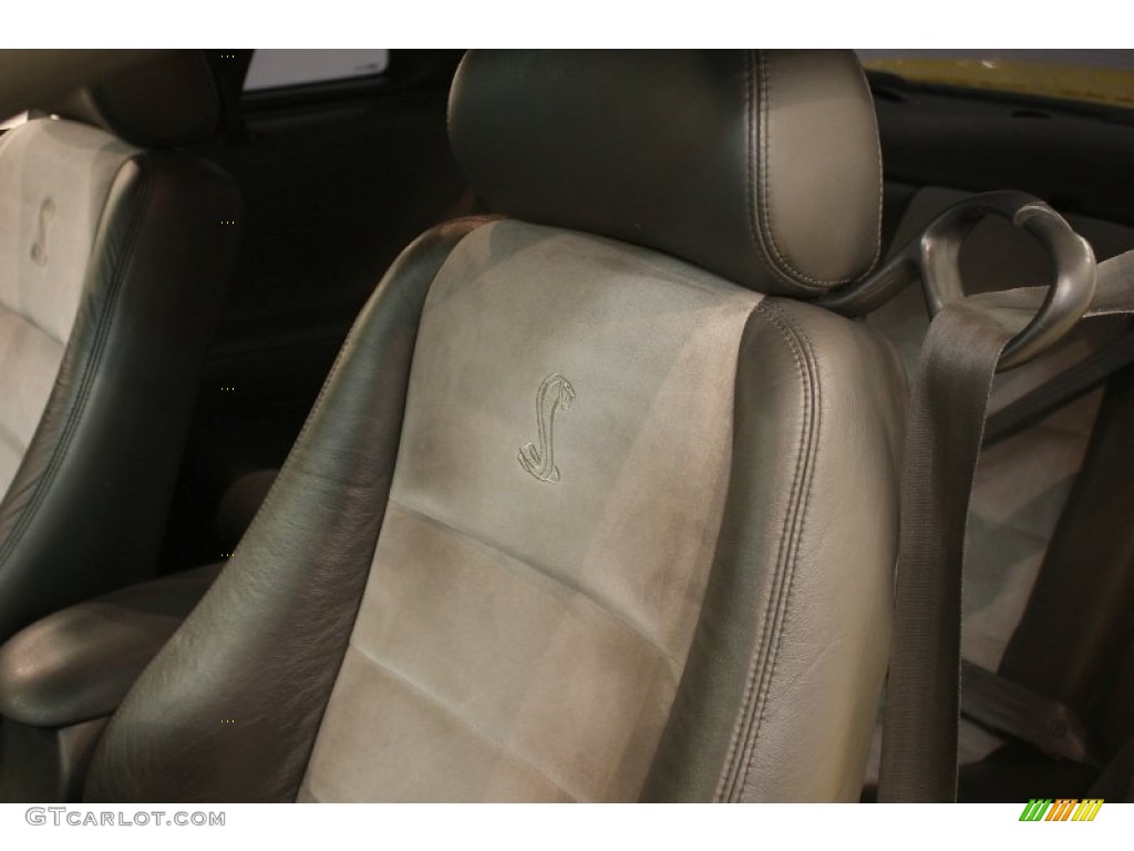 Dark Charcoal/Medium Graphite Interior 2003 Ford Mustang Cobra Coupe Photo #51913412