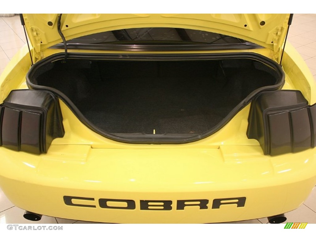 2003 Mustang Cobra Coupe - Zinc Yellow / Dark Charcoal/Medium Graphite photo #18