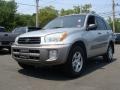 Titanium Metallic - RAV4 4WD Photo No. 1