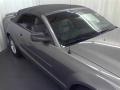 2006 Tungsten Grey Metallic Ford Mustang V6 Premium Convertible  photo #20