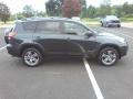  2010 RAV4 Sport Black Forest Pearl