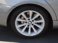 2010 Space Gray Metallic BMW 3 Series 328i Sedan  photo #4