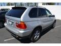 Titanium Silver Metallic - X5 3.0i Photo No. 6