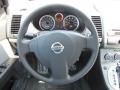 Brilliant Silver Metallic - Sentra 2.0 Photo No. 11