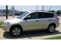 Savannah Metallic - RAV4 4WD Photo No. 1