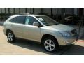 Bamboo Pearl - RX 350 AWD Photo No. 6